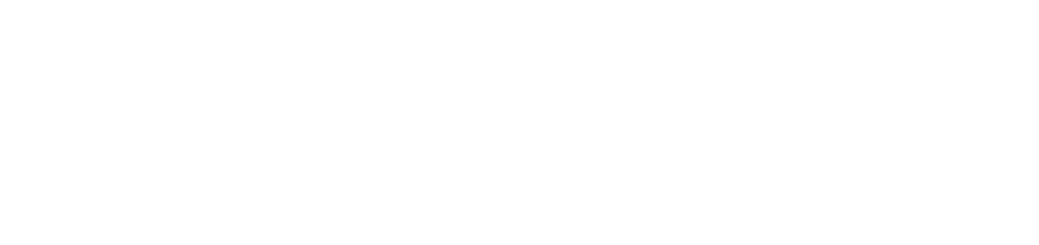 Ecopayz payment logo